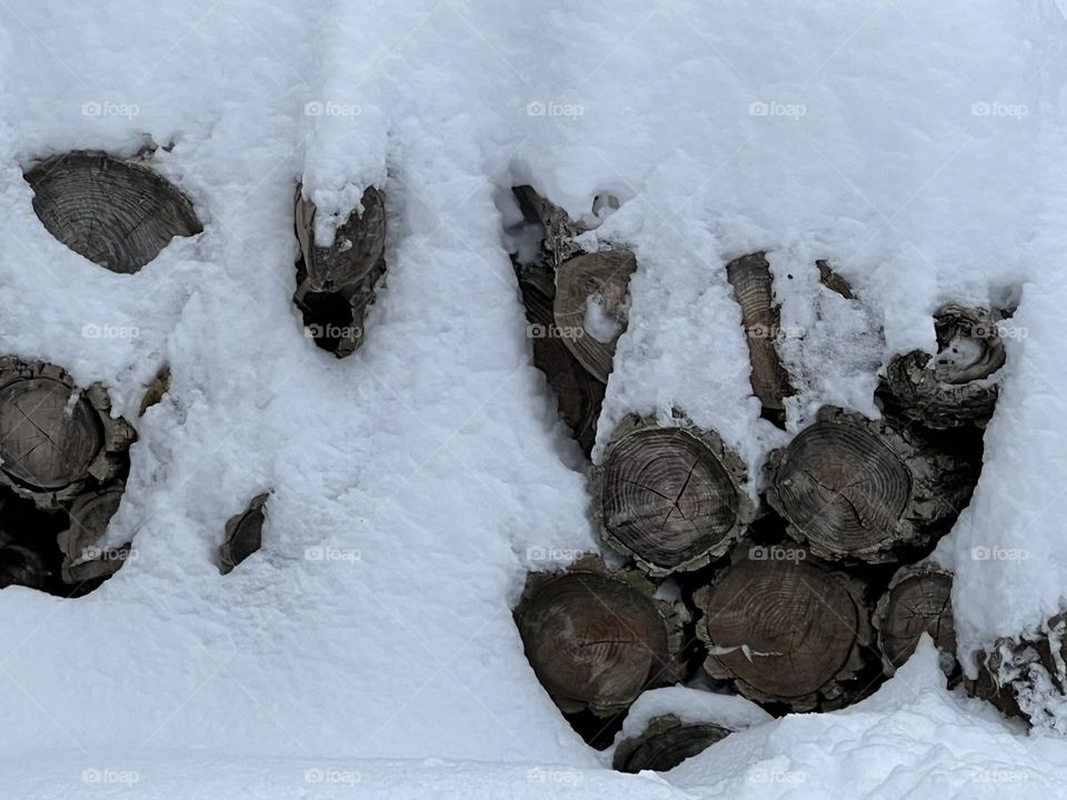 Logs covered in snow