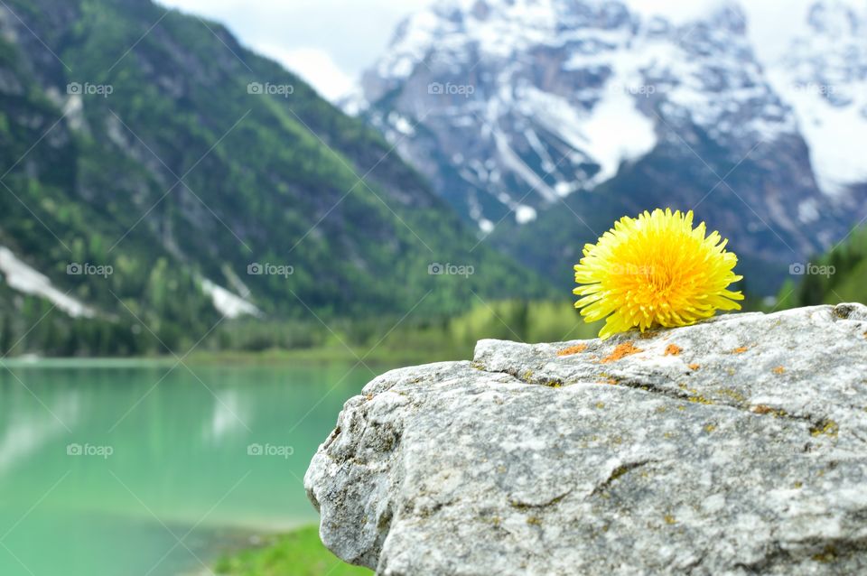 mountain landscape