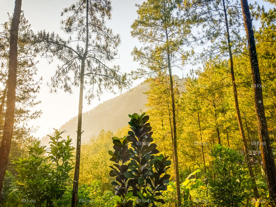 Ready for summer hiking? Of course, why not? Take a big breath! Fresh air, and so cool!