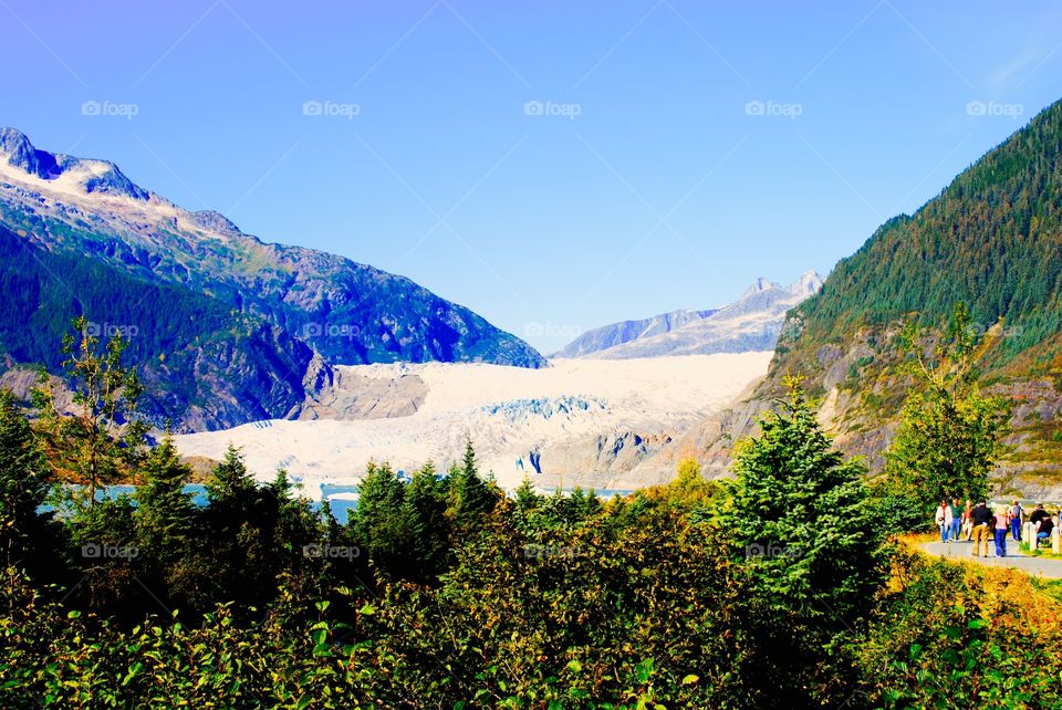 Ice fjord in Alaska 