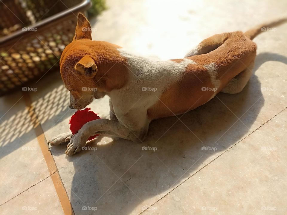 let me try this it's my favorite