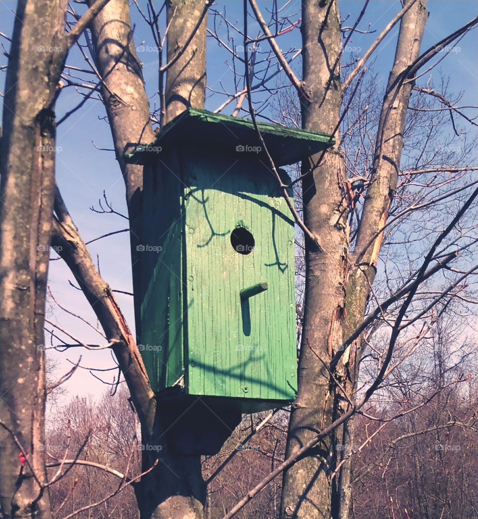 Bird house