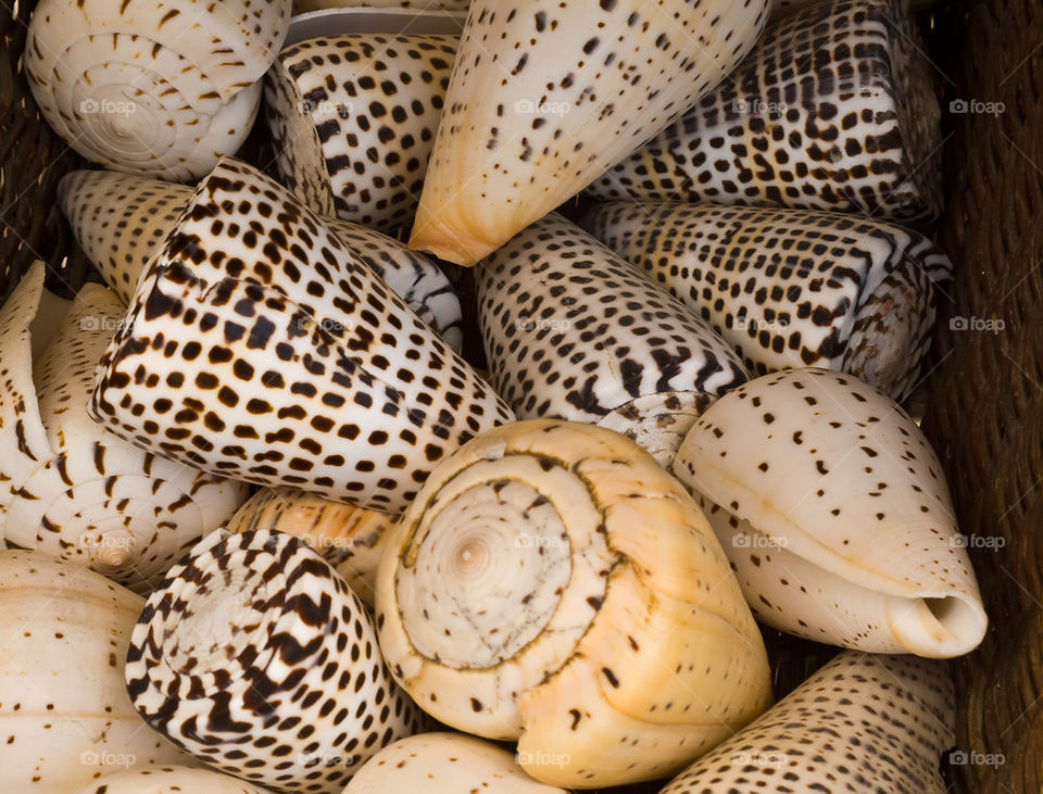 Exotic shells