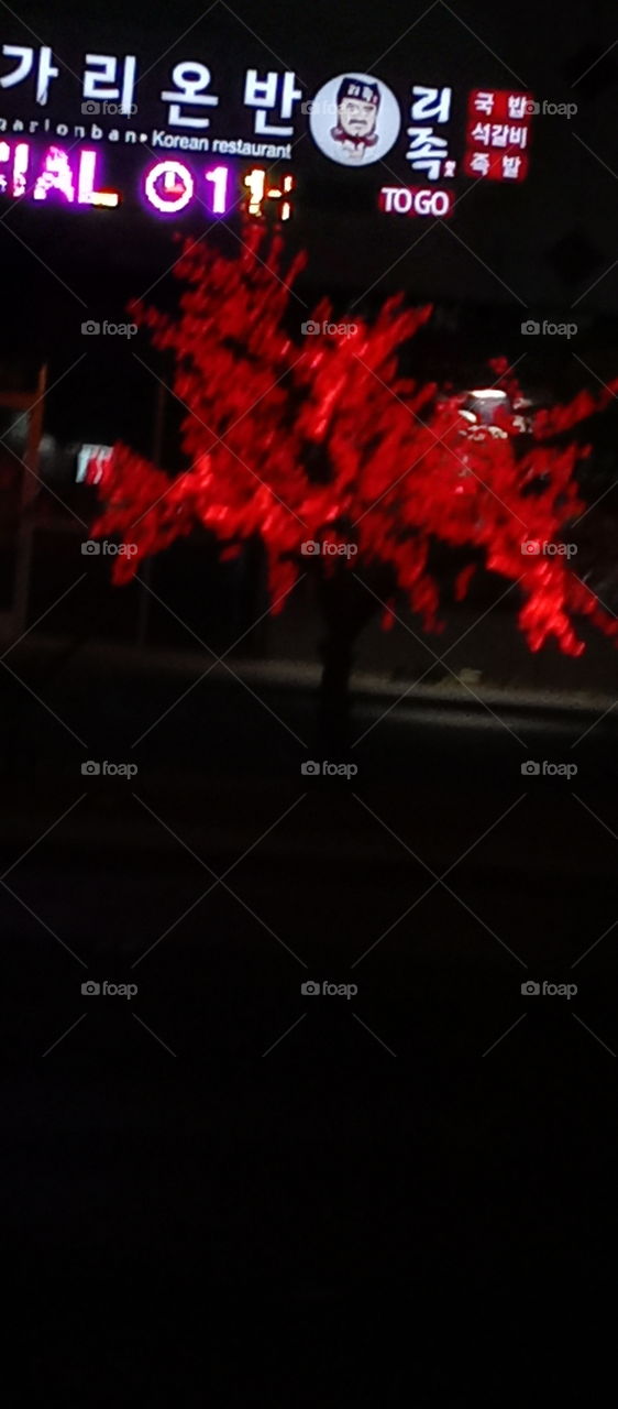 I spy with my little eye #SOMETHING RED tree on fire or birds in flight