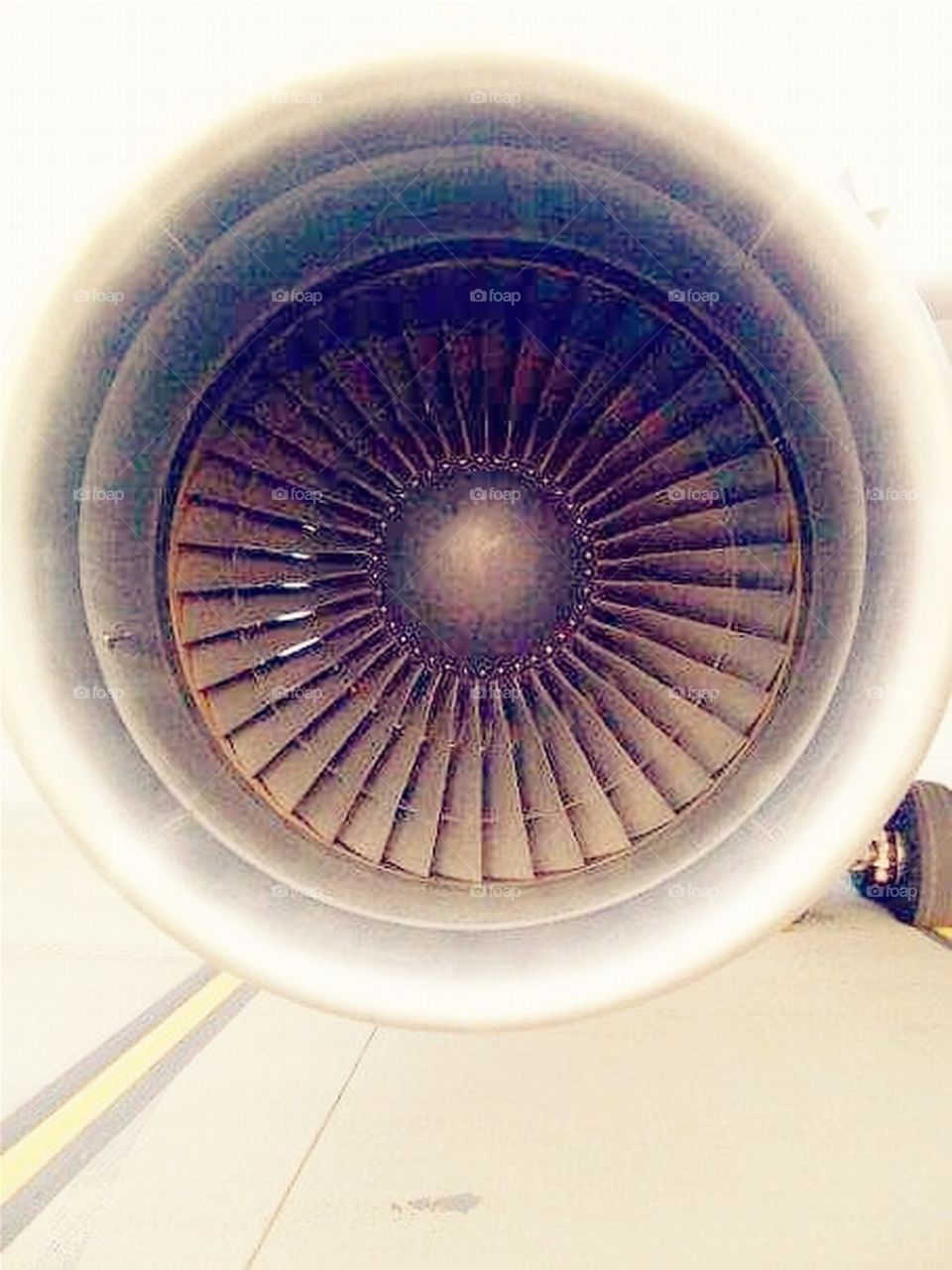 A Chance Close-up Shot on an Airplane