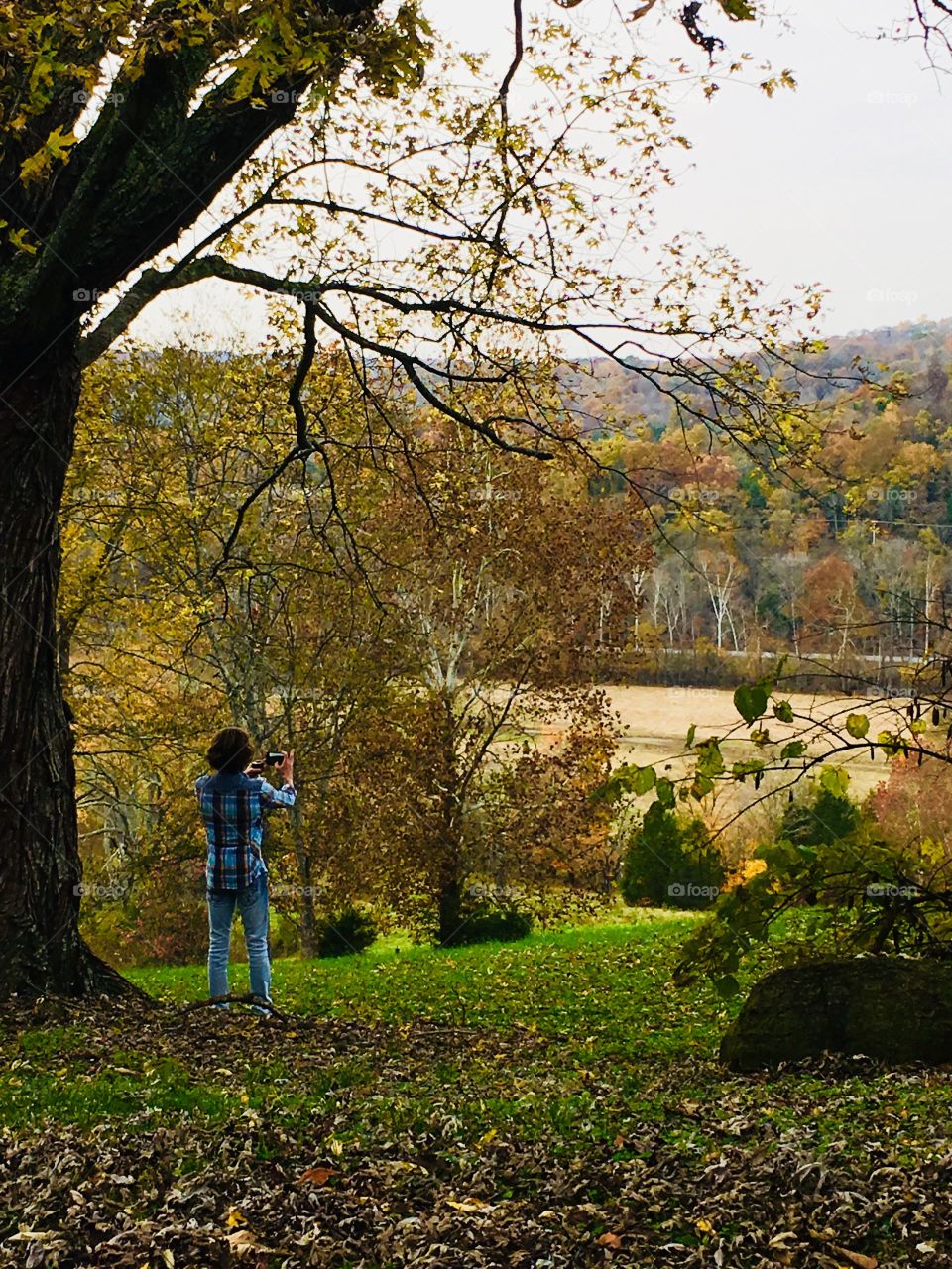 Capturing the colors