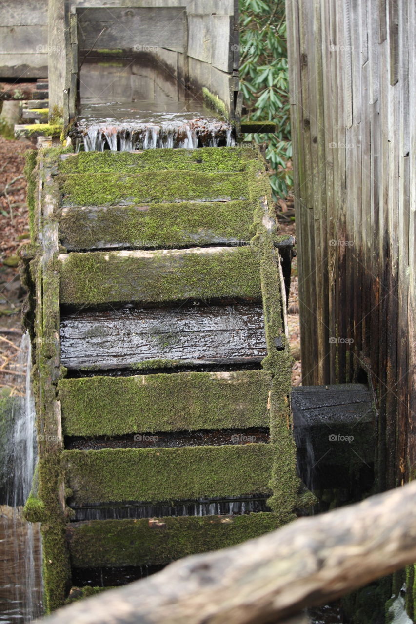 Mossy flume 