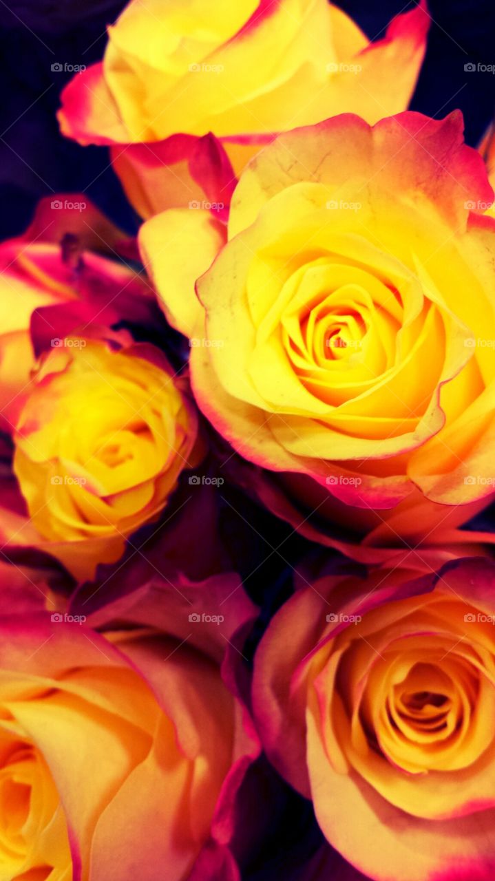 "Yellow & Orange Roses"