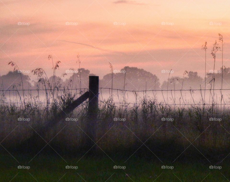 white mist in a field at sunset