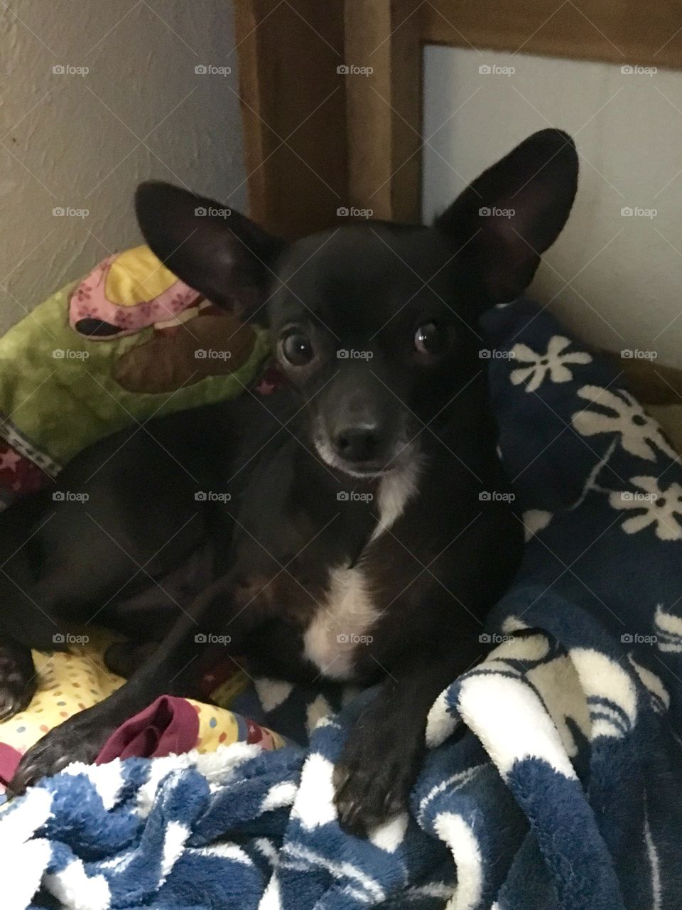 Love comes in small packages