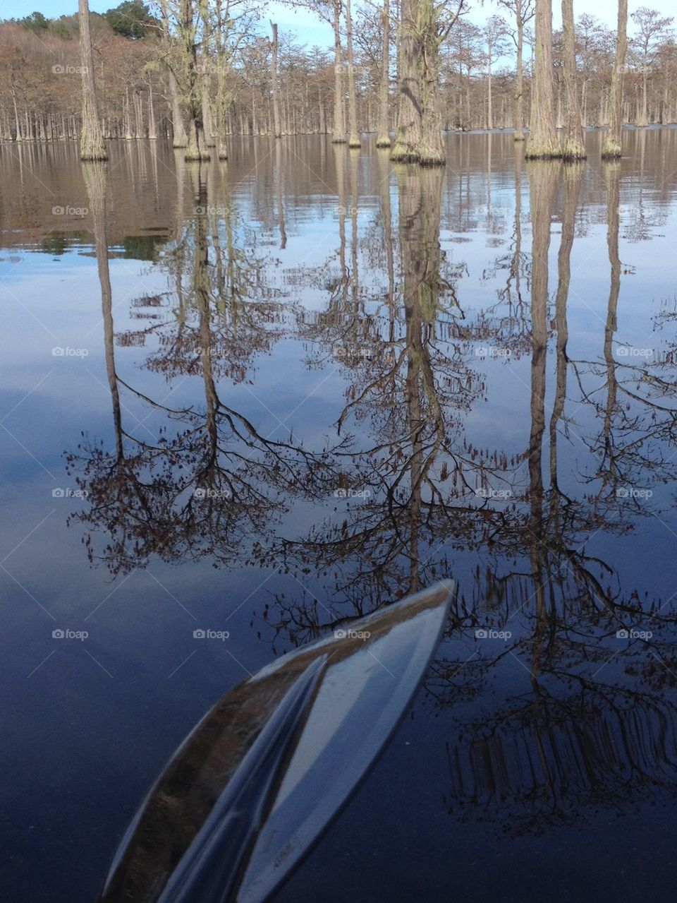 Pause in paddling 