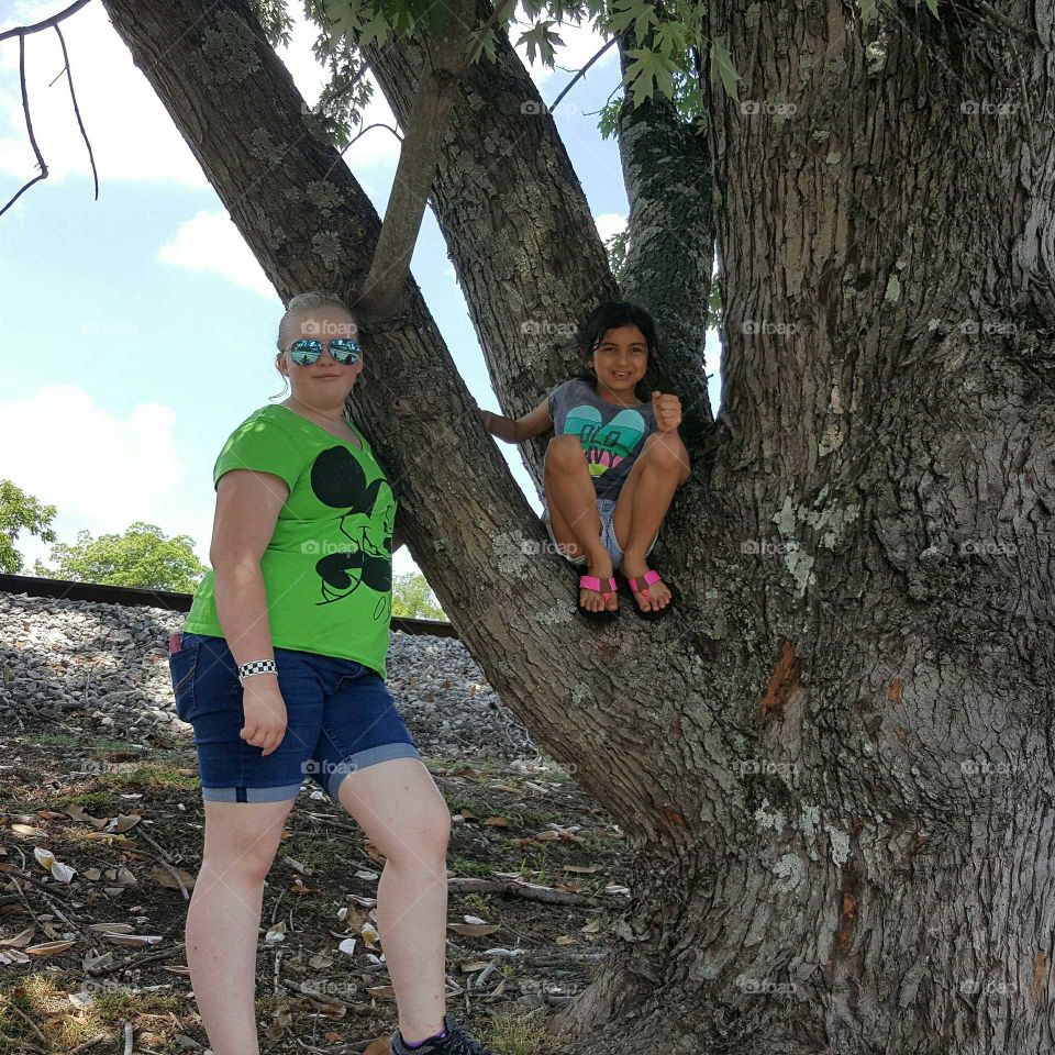 Tree climbing