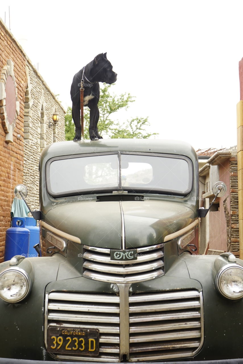 This photo was taken in a Mexican town in Baja California south. 