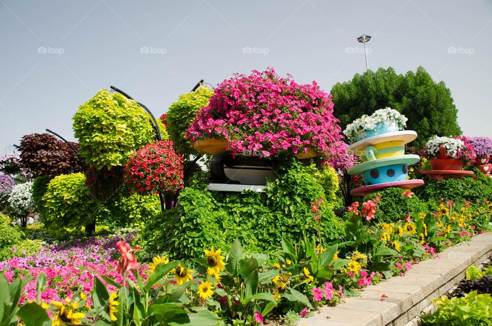 Urban Nature Plants, Dubai