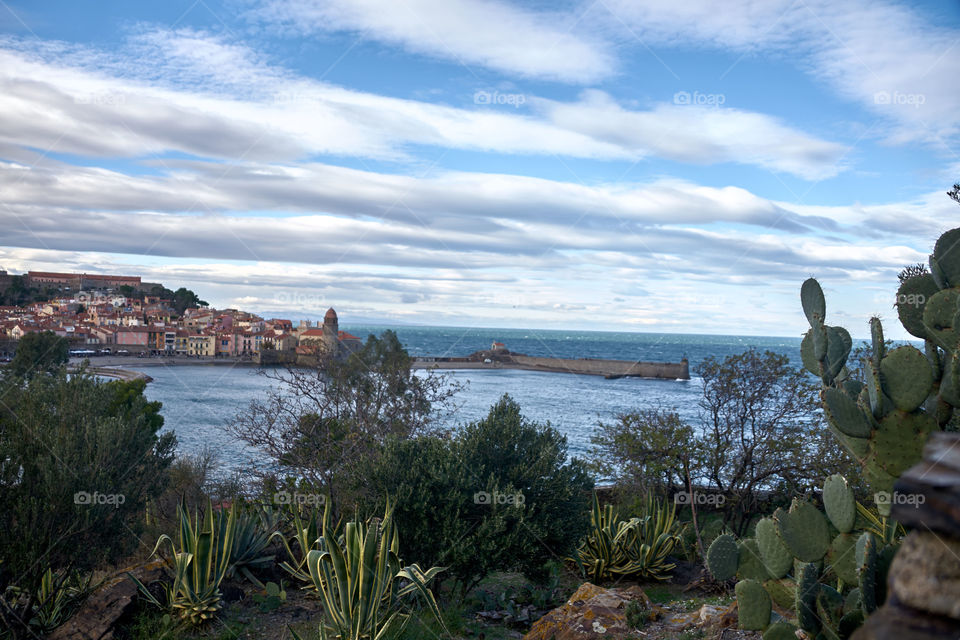 Collioure