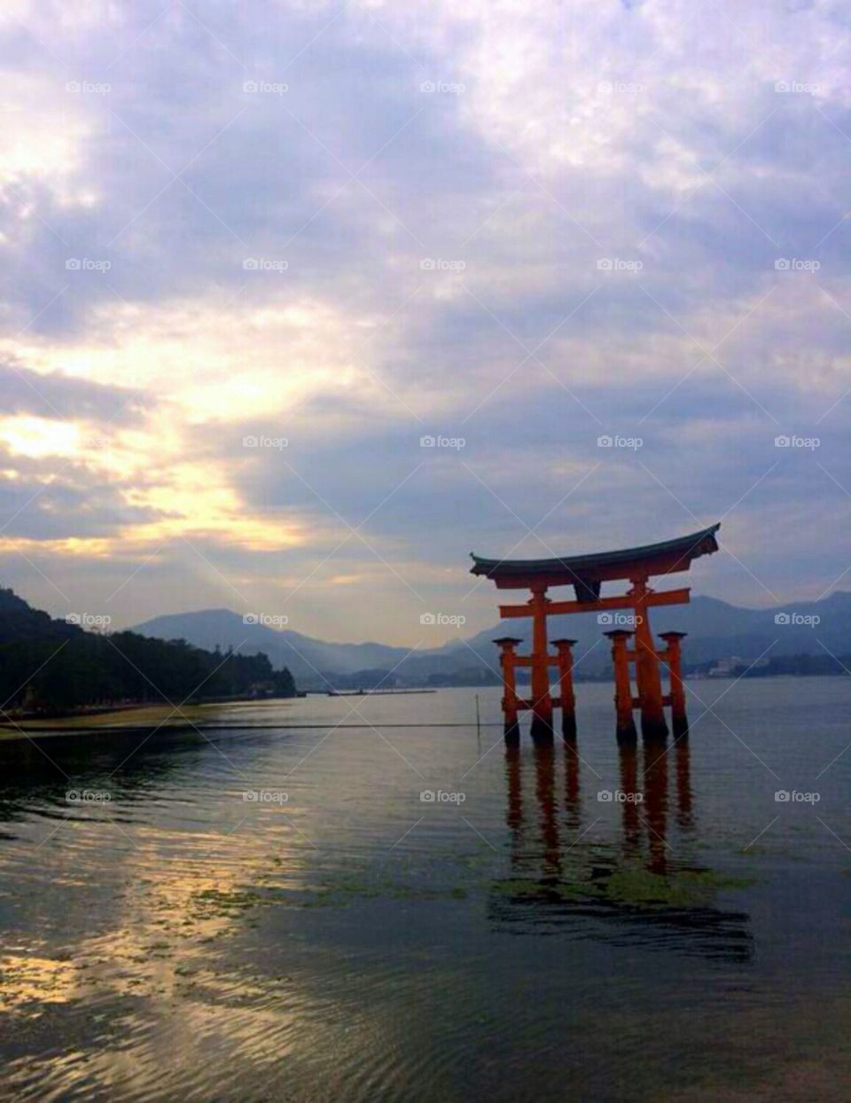 Miyajima Island. Floating torii gate of Miyajima Island in the evening