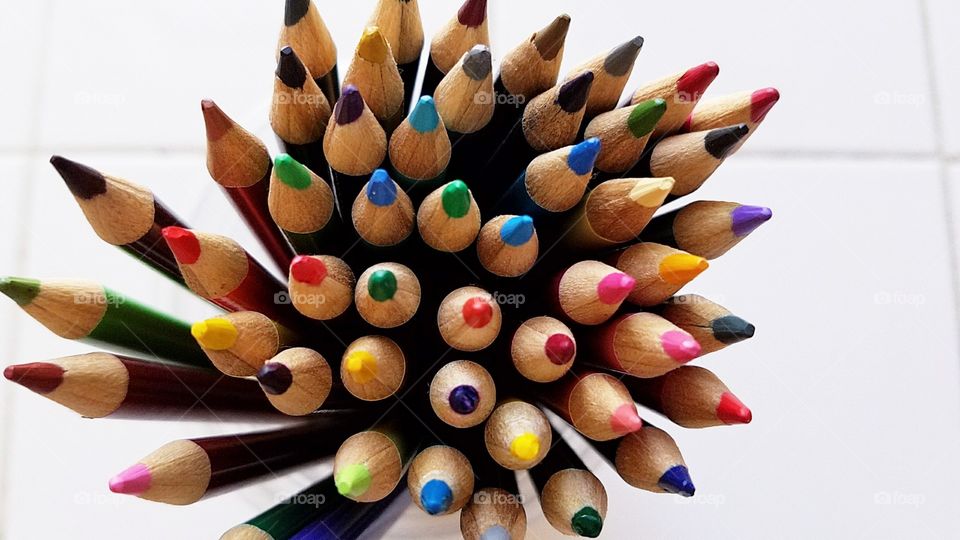 Studio shot of colorful pencils