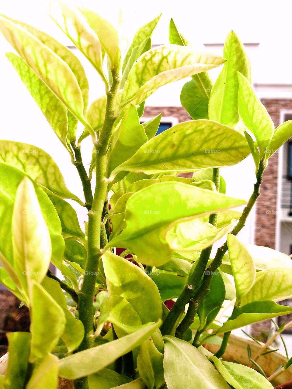 Take care for small things. Then will take care of you too🧚🏽‍♀️