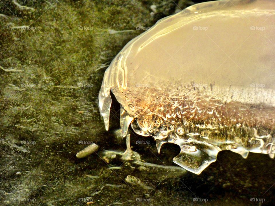 Ice frozen on the water. 