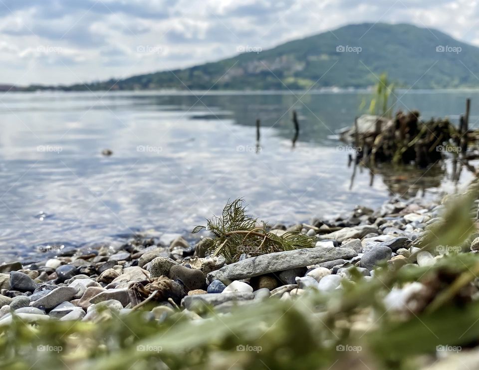 From a frog’s perspective 