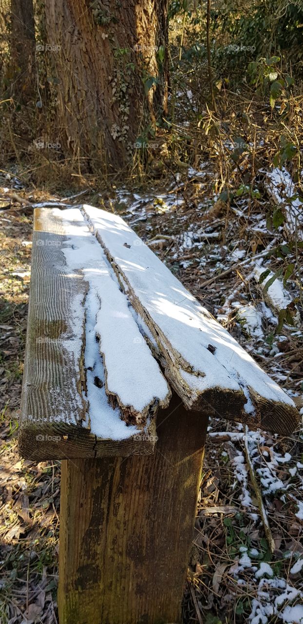 Snow on the bench