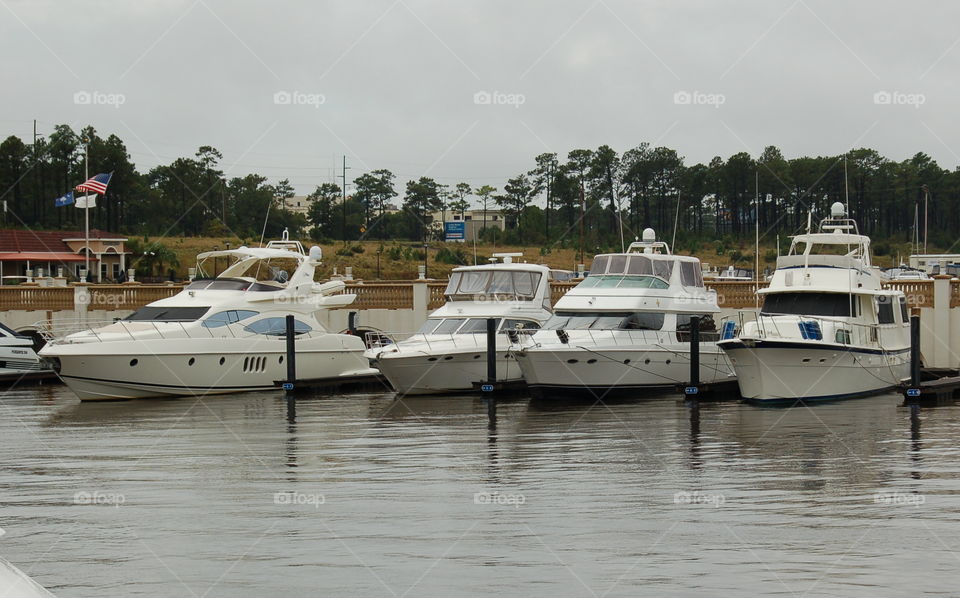boats. boats anchored at dock