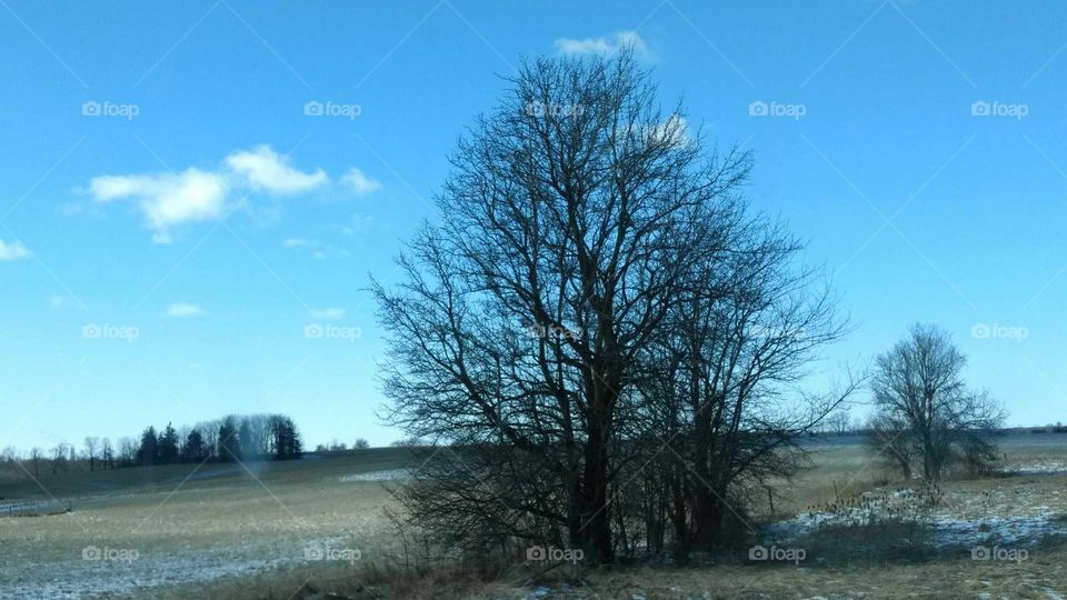 A Late Winter's Day 2017