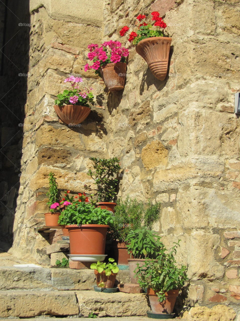 No Person, Flower, Architecture, Flowerpot, House