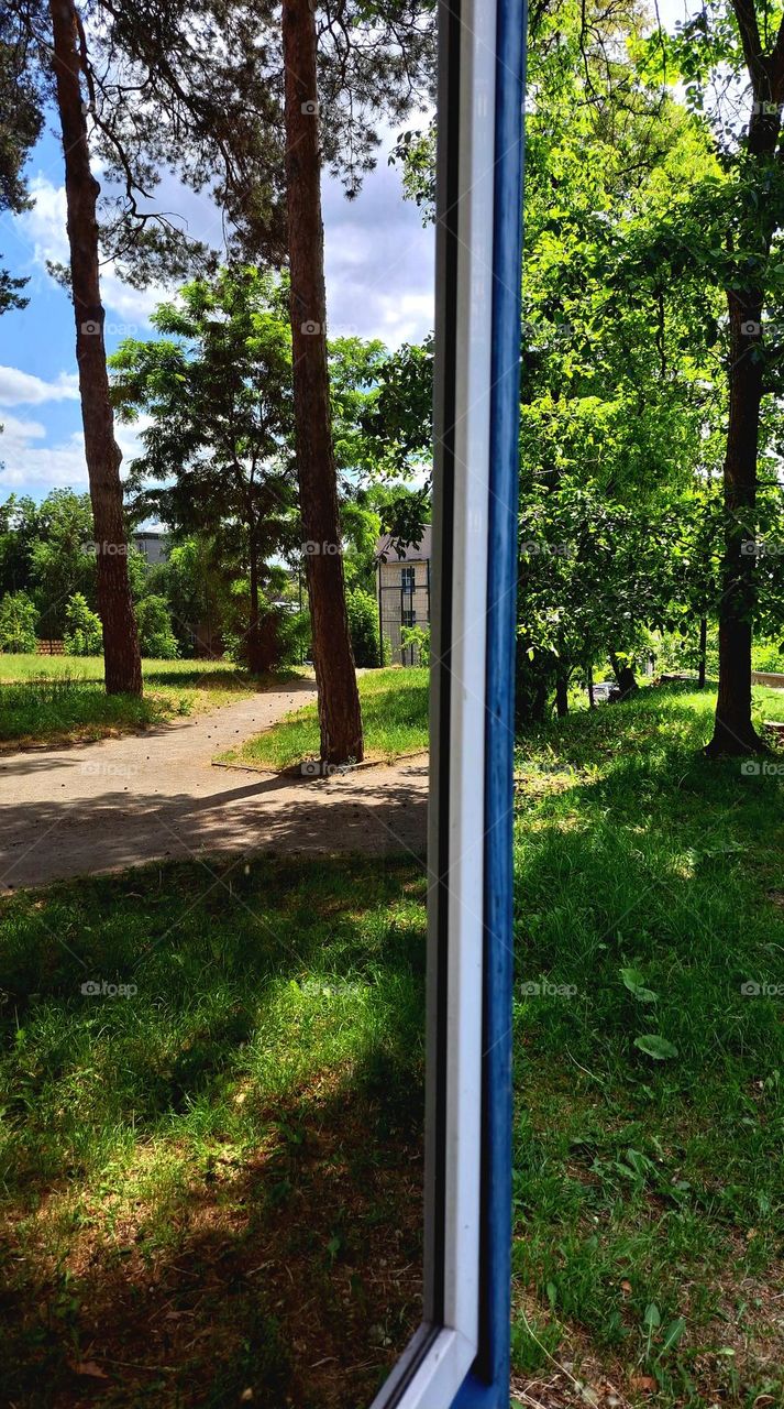 Reflection of the Spring Forest in the guard house