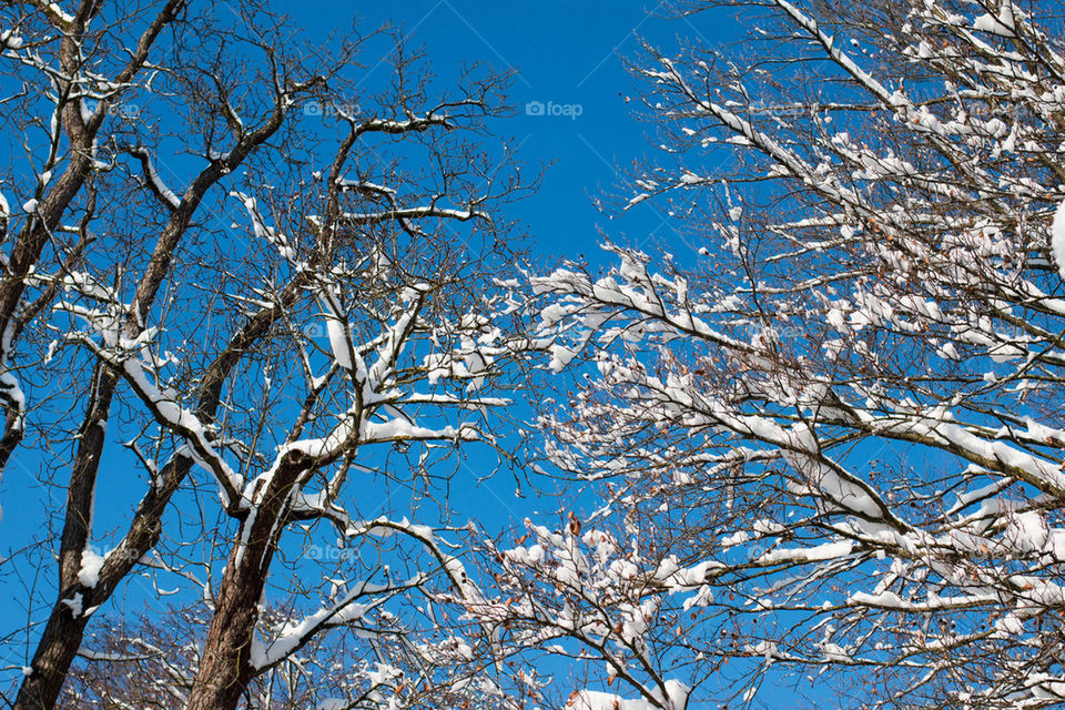 Clear blue sky