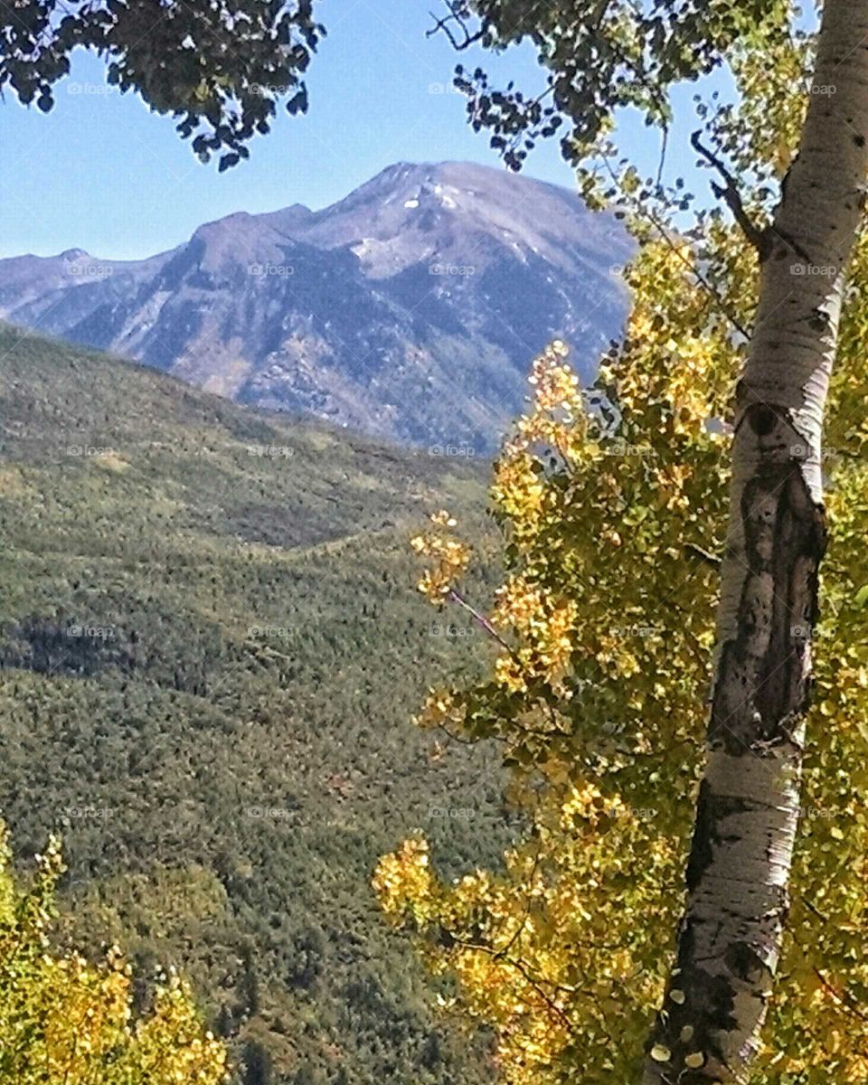 Fall in the Crystal River Valley