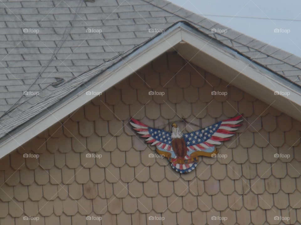 American Eagle. This is a picture I took while out exploring this morning.... 👣 🚶 🏃 🔥 💨