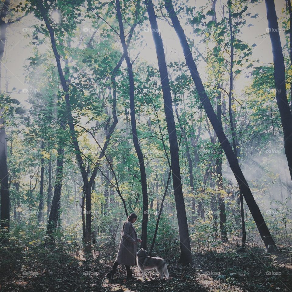 Girl with her dog friend in the forest