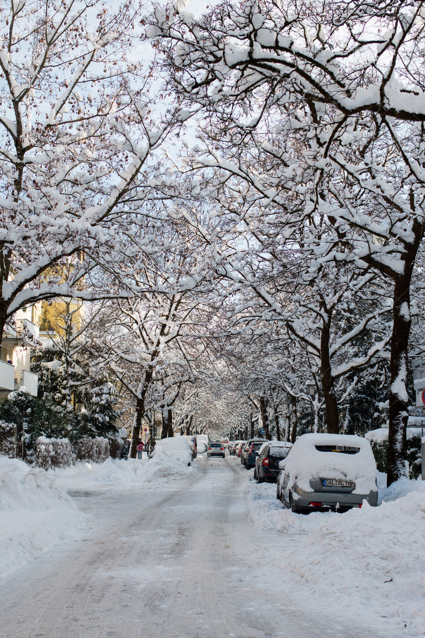 Hirschgartenallee under snow 