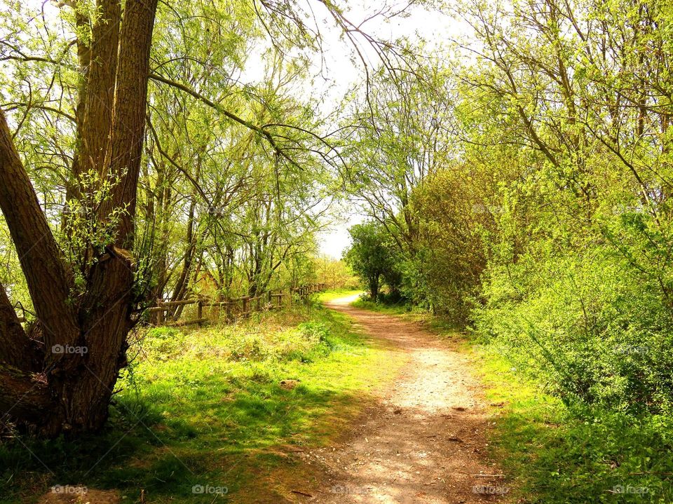 Near Conchil le Temple, Northern France