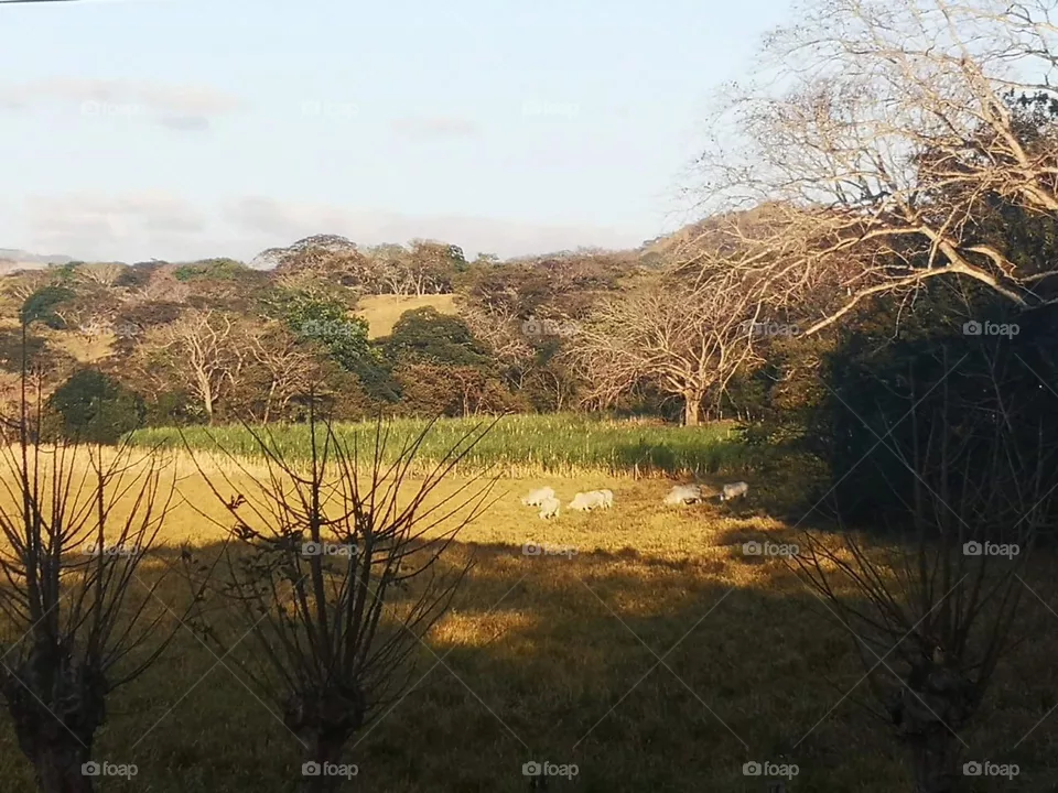 paisaje de mi provincia Cartago Costa Rica CentroAmerica propiedad de Osvin