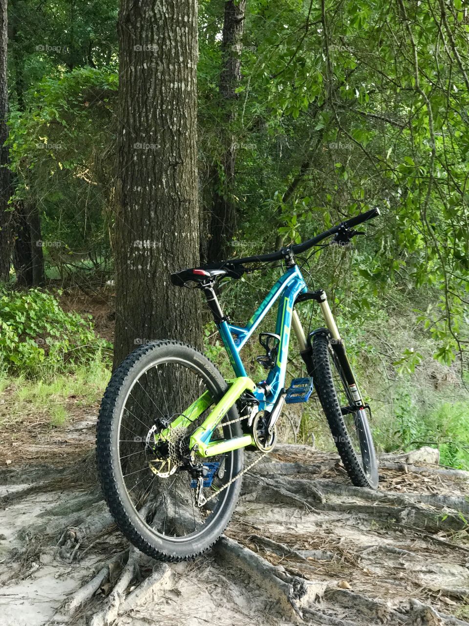 Cypress creek trails. Houston, TX 