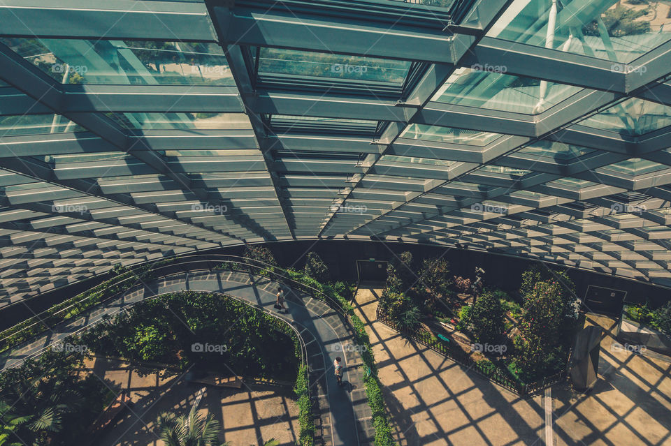 Cloud forest at Garden by the bay Singapore