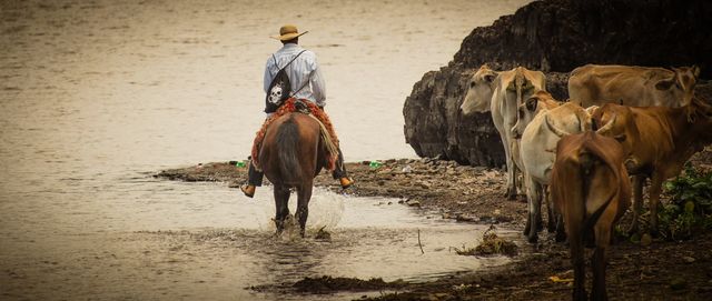 cowboy