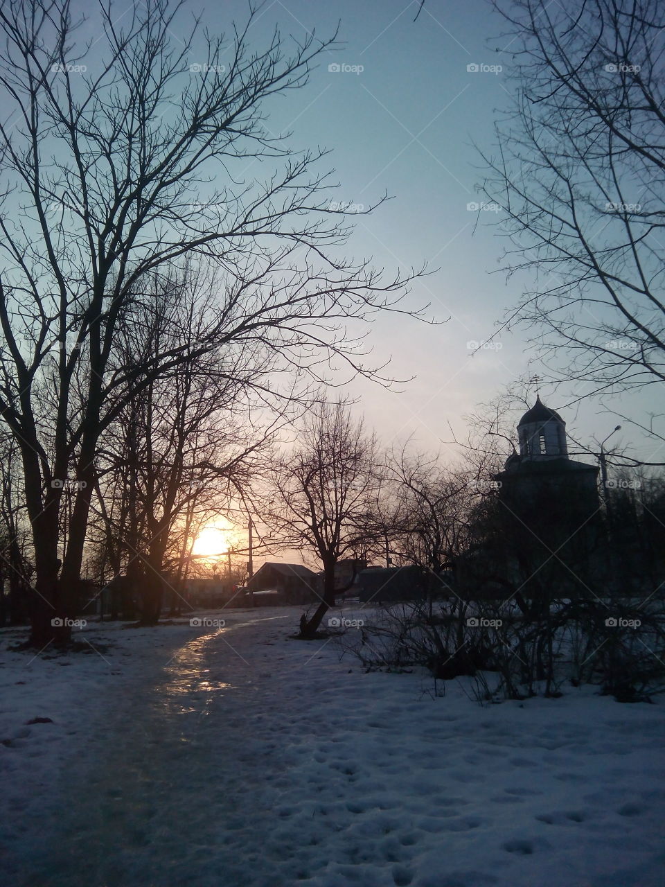 Winter, Tree, Snow, No Person, Landscape