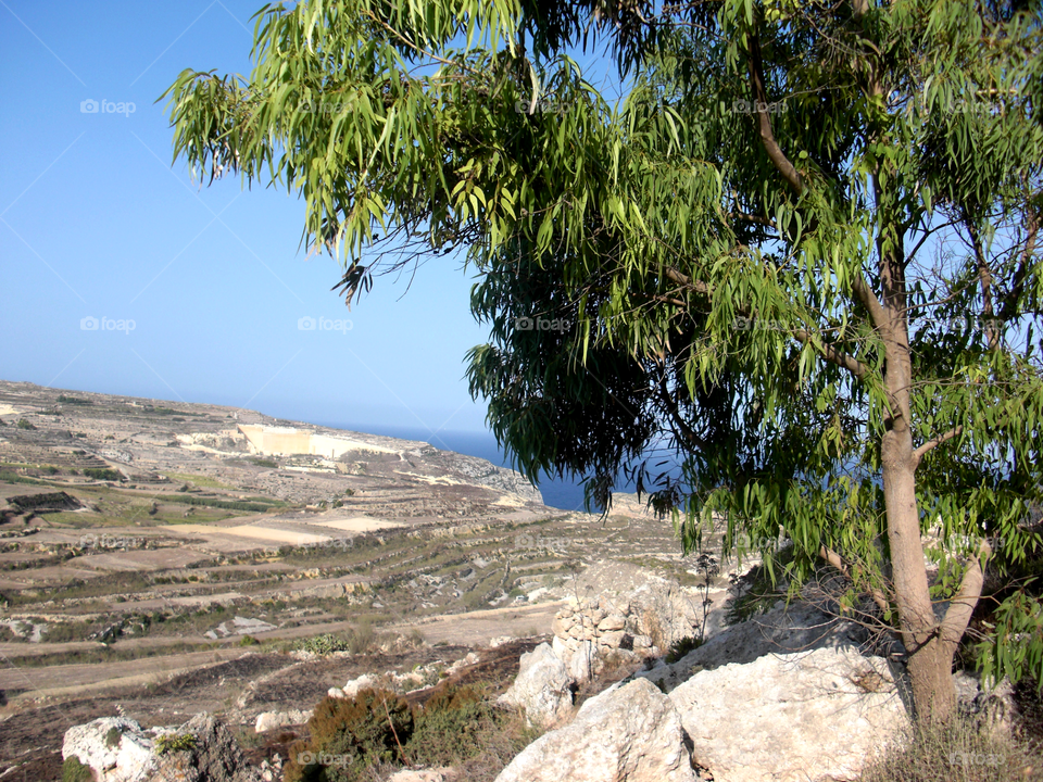 Landscape in gozo