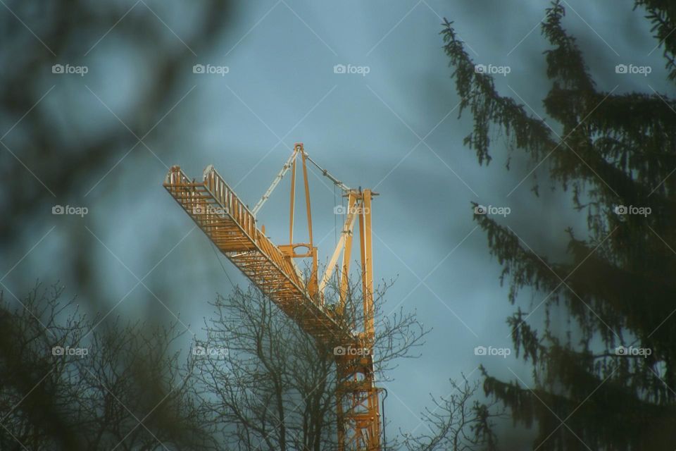 Yellow crane between trees and twigs at blue sky