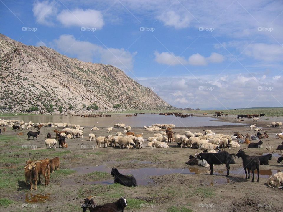 mongolia water pond hill by anetteaventyr