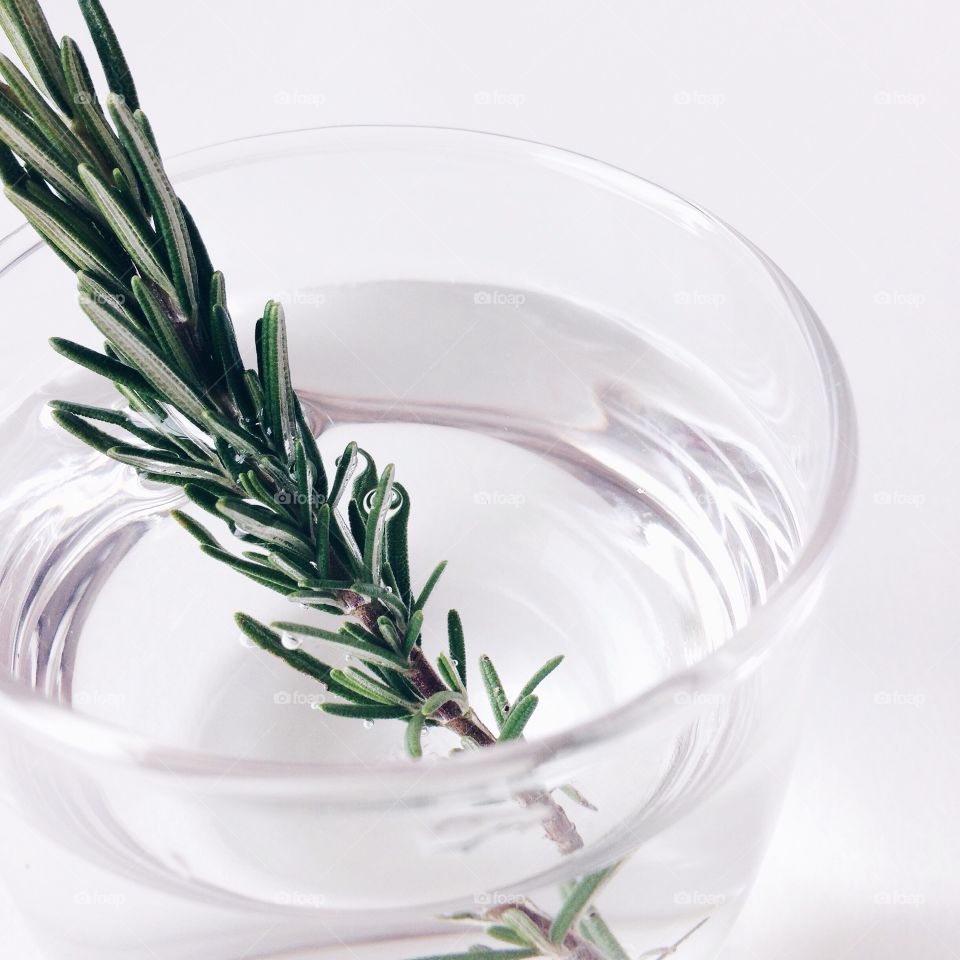 Fresh rosemary infuse water