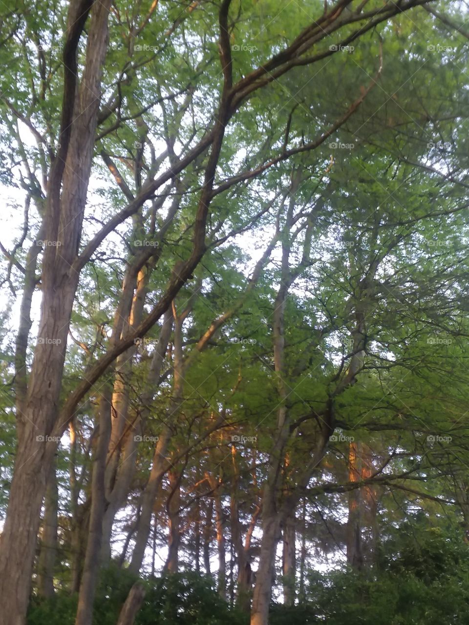 sunrises and sunsets