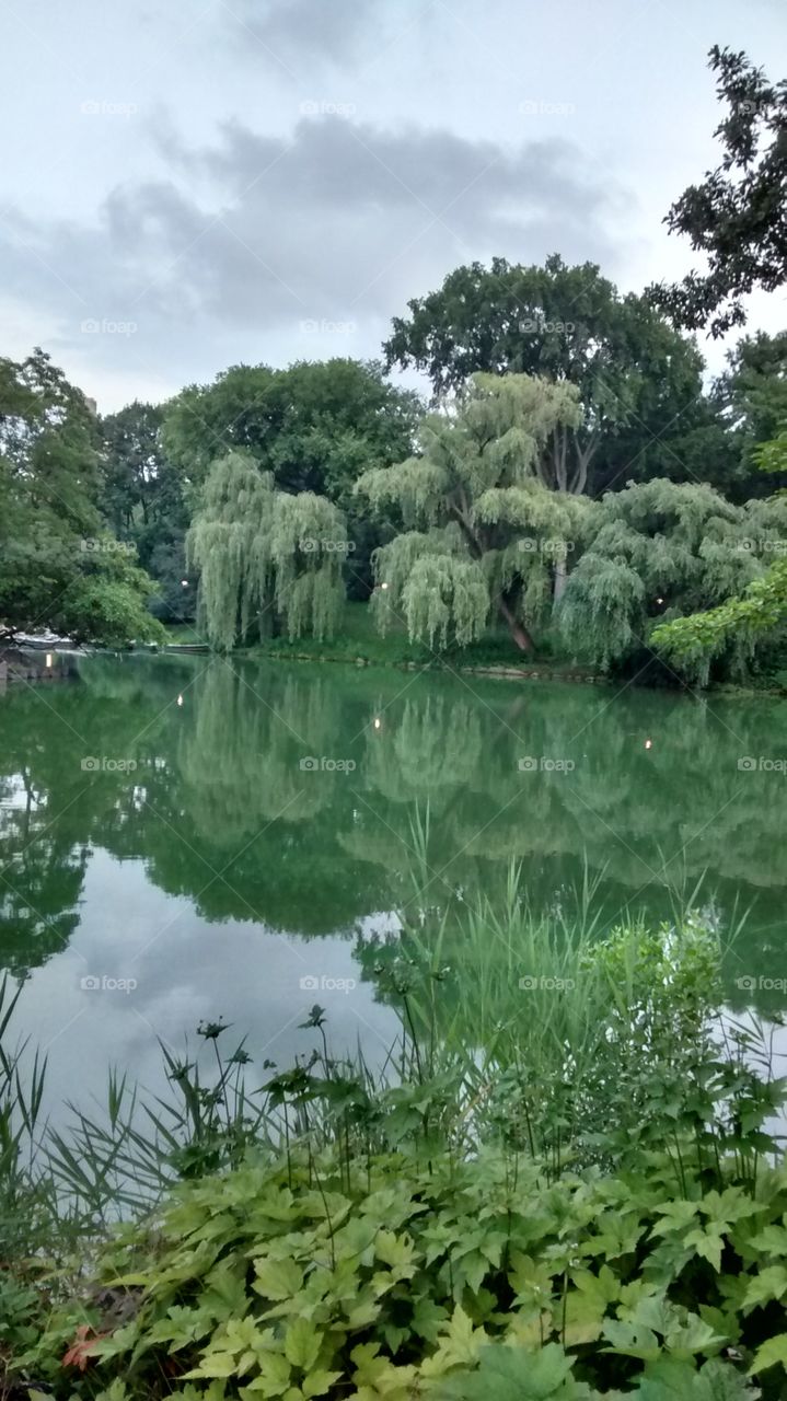 Central Park lake view. at lake