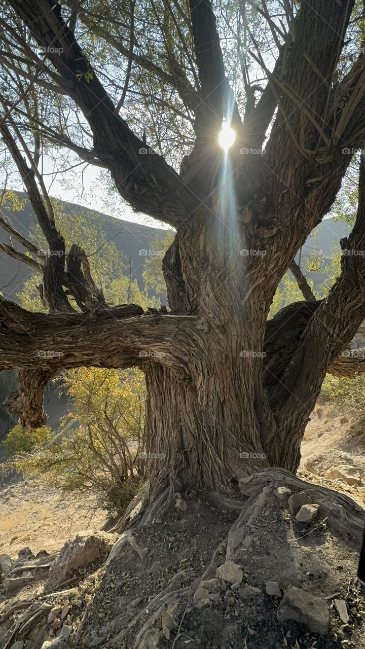 The sun shines in the bitter cold of November