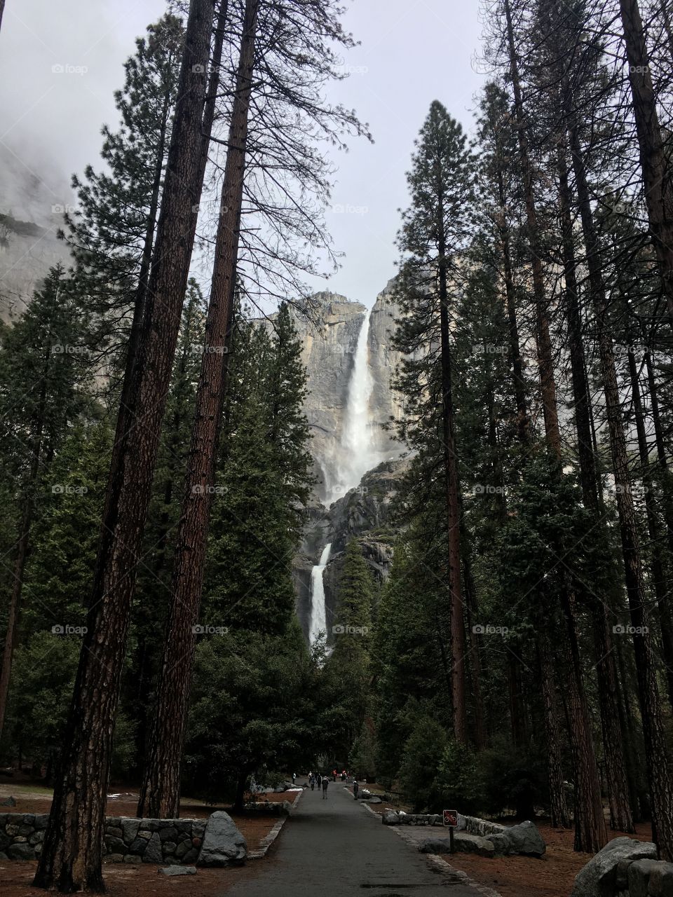 Beautiful waterfall in Yosemite, California!