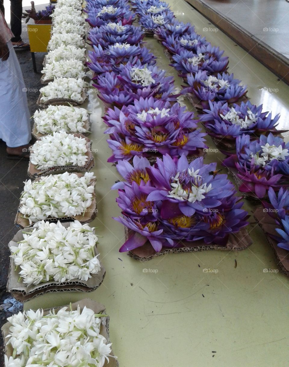 Lotus & white flowers