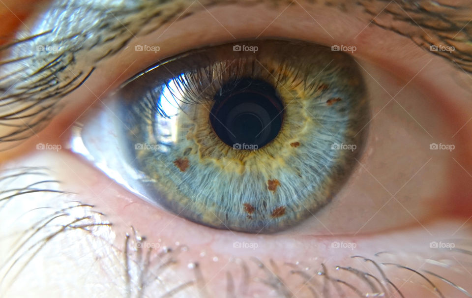 Eye close-up